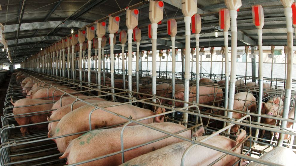 Este sector paga retenciones de 5%