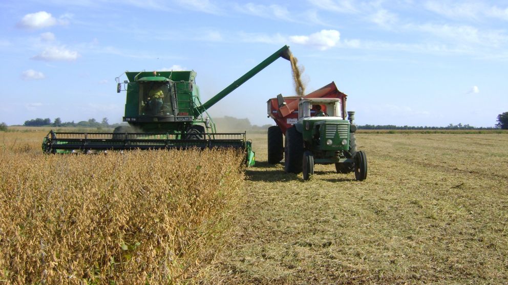 Las ventas de los productores están en un nivel bajo