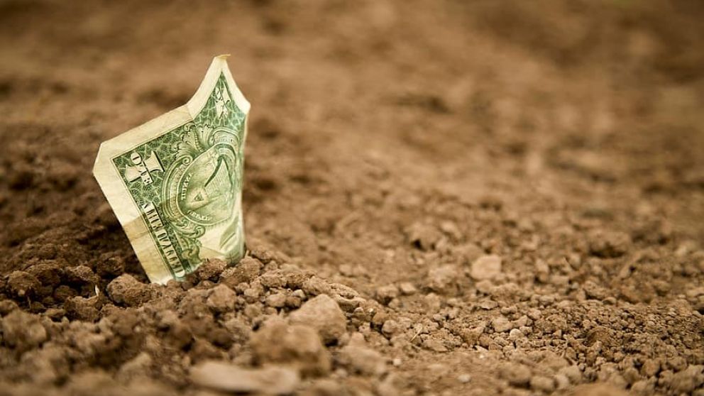 En busca de los agrodólares: rebaja en las retenciones a la soja