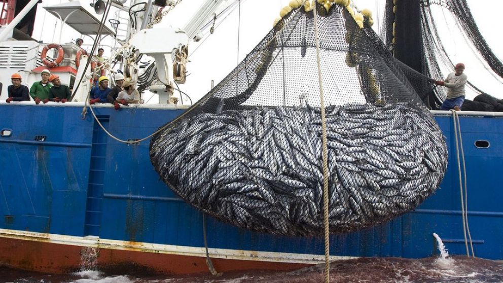 Son barcos pesqueros ilegales que rondaron en las costas en tiempos de cuarentena