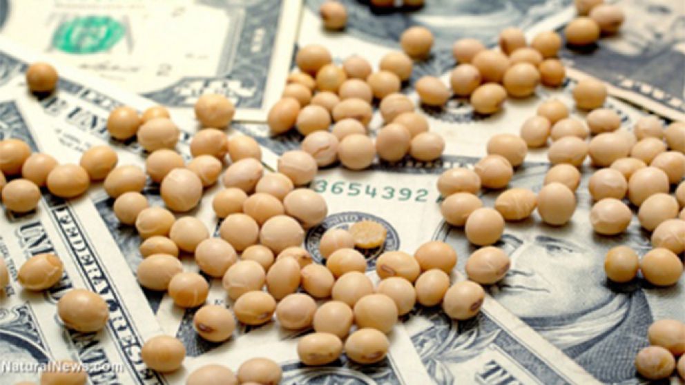 Bajan las retenciones a la soja: cómo queda la alícuota