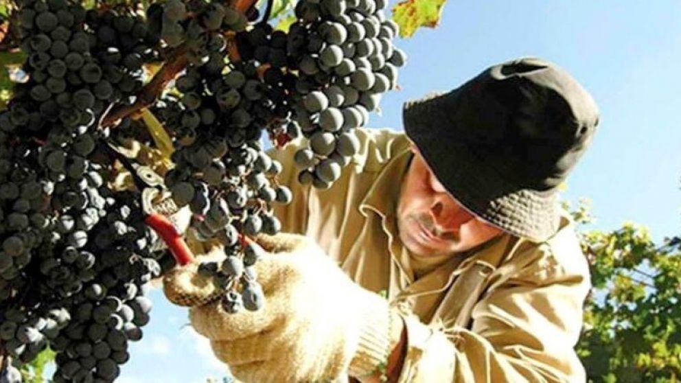 Los trabajadores del vino, en acuerdo breve y con registro paritario en alza