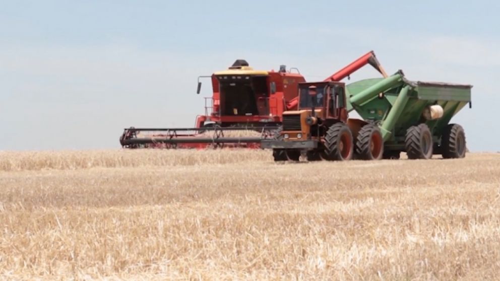 En el primer semestre del año, el campo participó en el 73,1% de las exportaciones