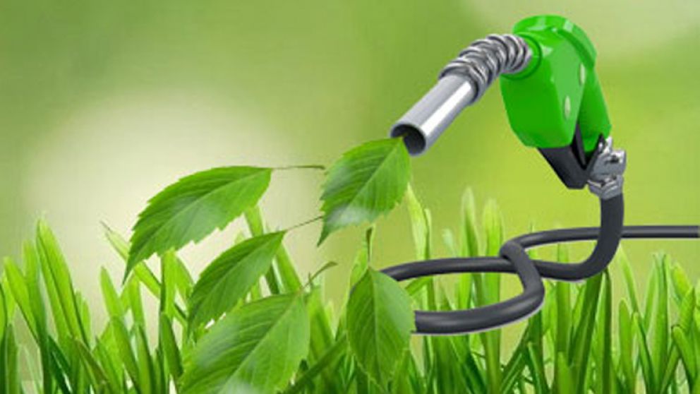 Treinta pymes de biodiesel, al borde la desaparición