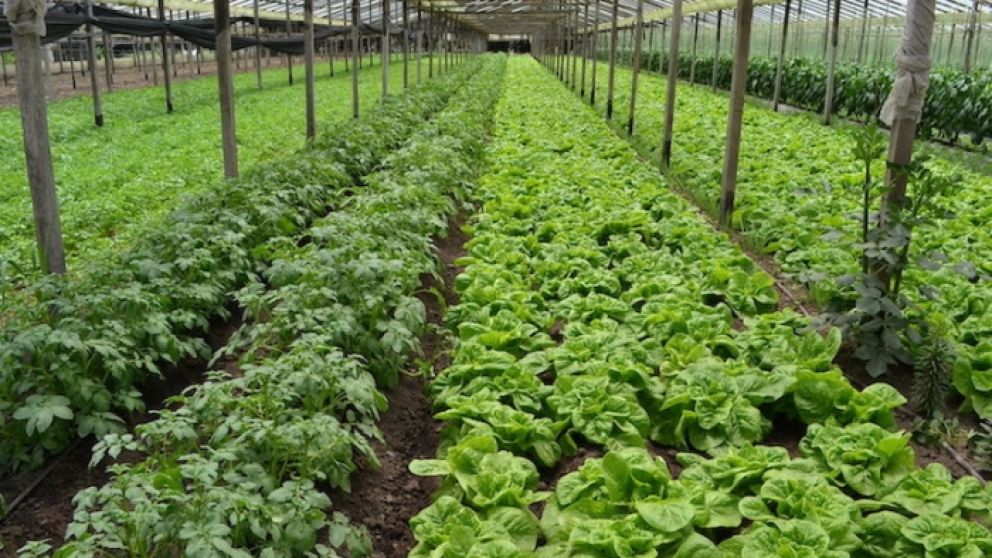 Los fondos llegarán a 11 localidades bonaerenses