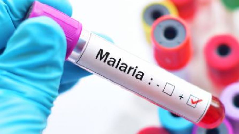 La malaria podr�a potenciarse por el cambio clim�tico 