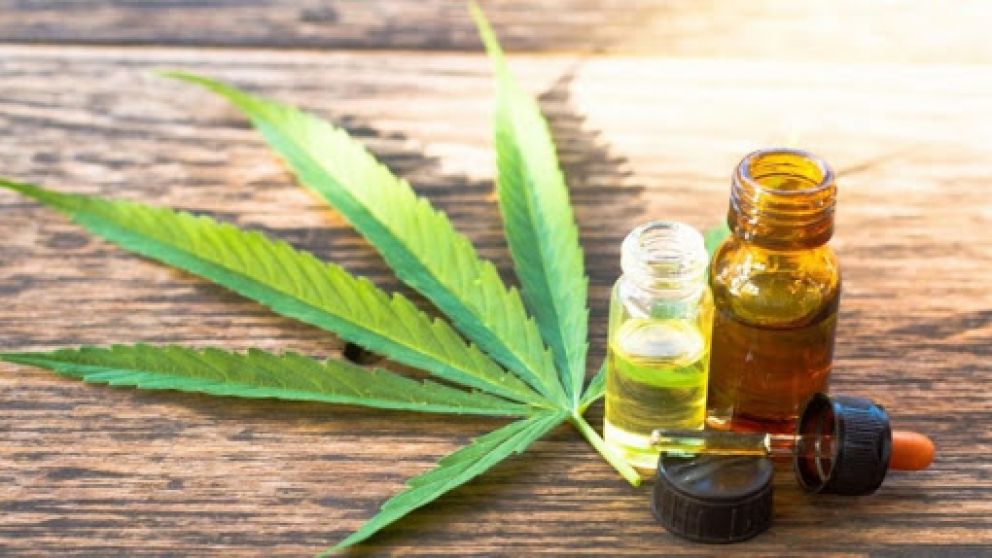 Santa Fe es la primera ciudad en aprobar el acceso al cannabis medicinal