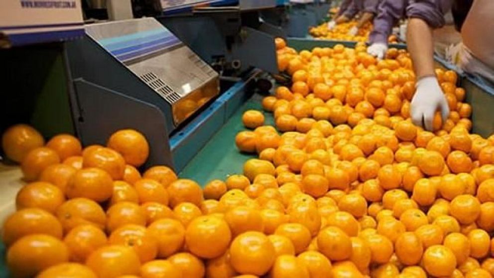 Buscan que los envíos del NEA queden fuera de la prohibición