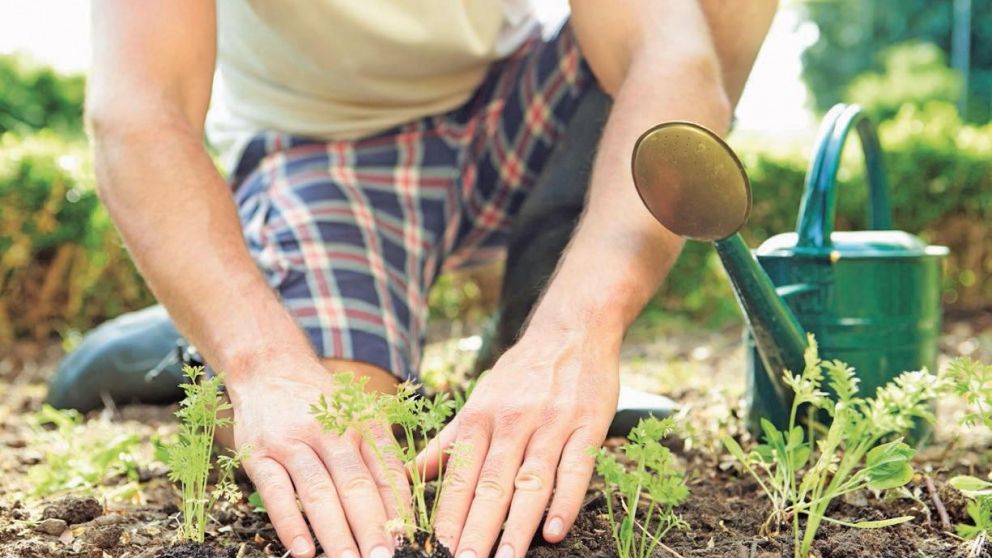 Instalar�n chacra en Plaza de Mayo para impulsar Ley de acceso a la  tierra  
