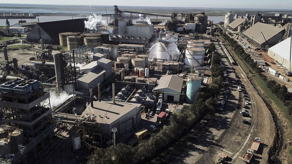 El Gobierno desembarco en la intervenida cerealera Vicentin