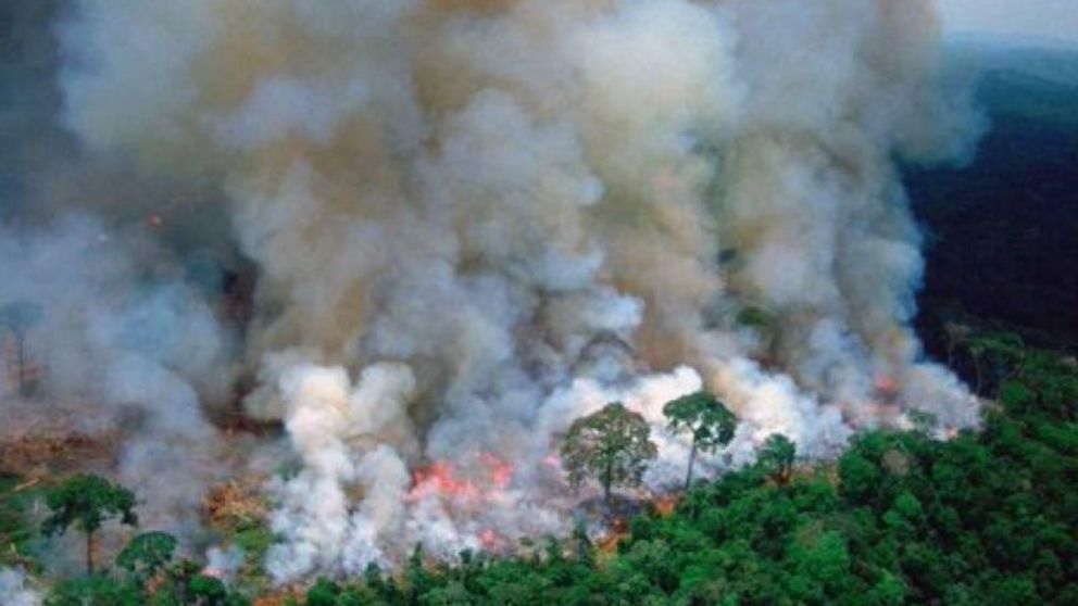 El gobierno brasileño abre a la inversión privada el 15% de la selva amazónica