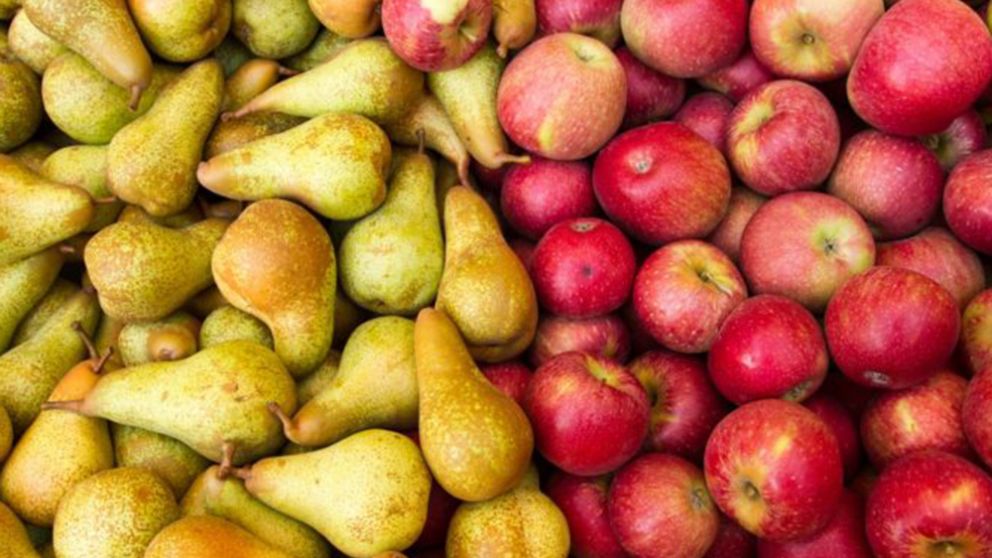 Afip sale al rescate de los productores de peras y manzanas con excepciones impositivas