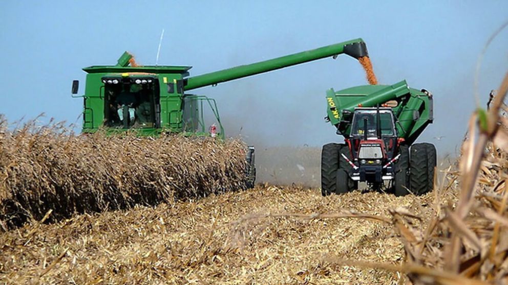 La cosecha de maíz se ubicó 400.000 toneladas por encima de lo obtenido por la soja