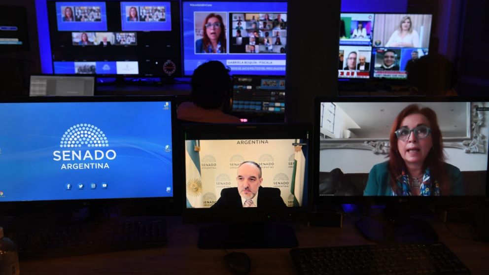 La fiscal Boquín denunció en el Congreso que es víctima de una "persecución" por parte del procurador Casal