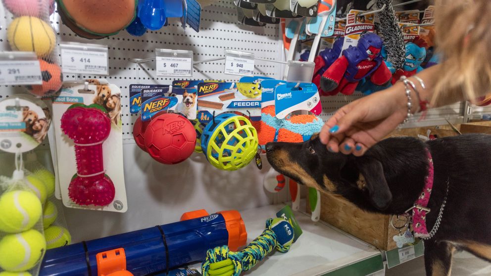 Crece la venta online de productos para mascotas