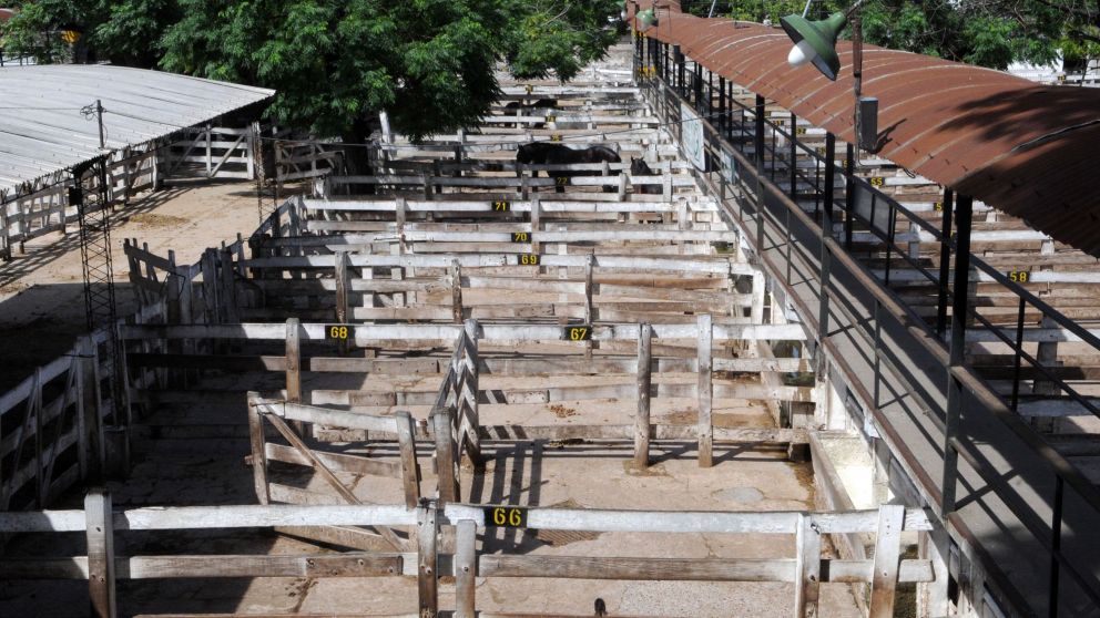 La operatoria en los corrales no sufrirá modificaciones