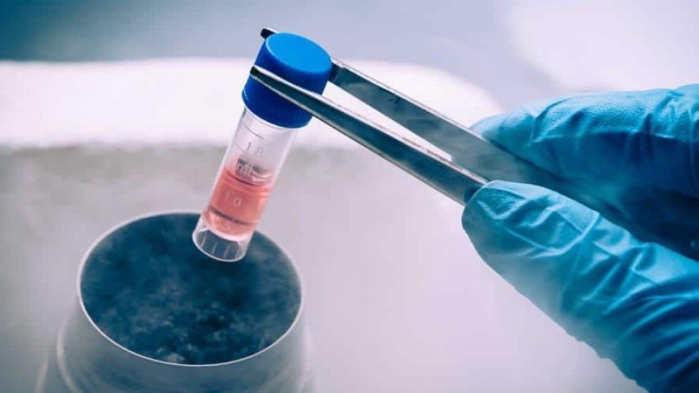 Fertilidad: aumentaron las consultas para congelar óvulos