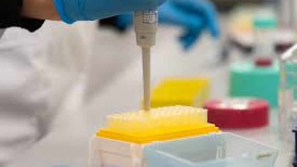 Ensayos de una cura alternativa en Argentina