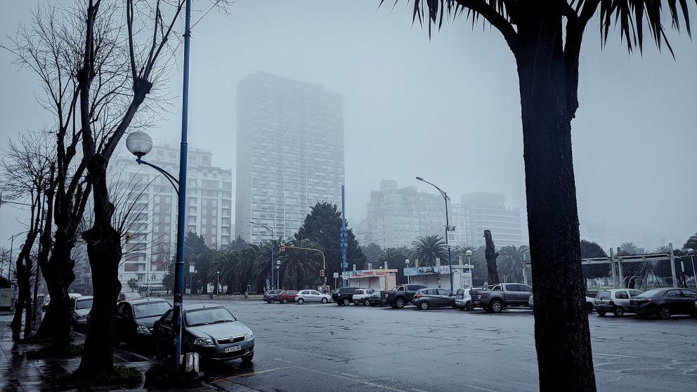 Fuerte temporal en Mar del Plata vuela techos de las casas y destroza los árboles