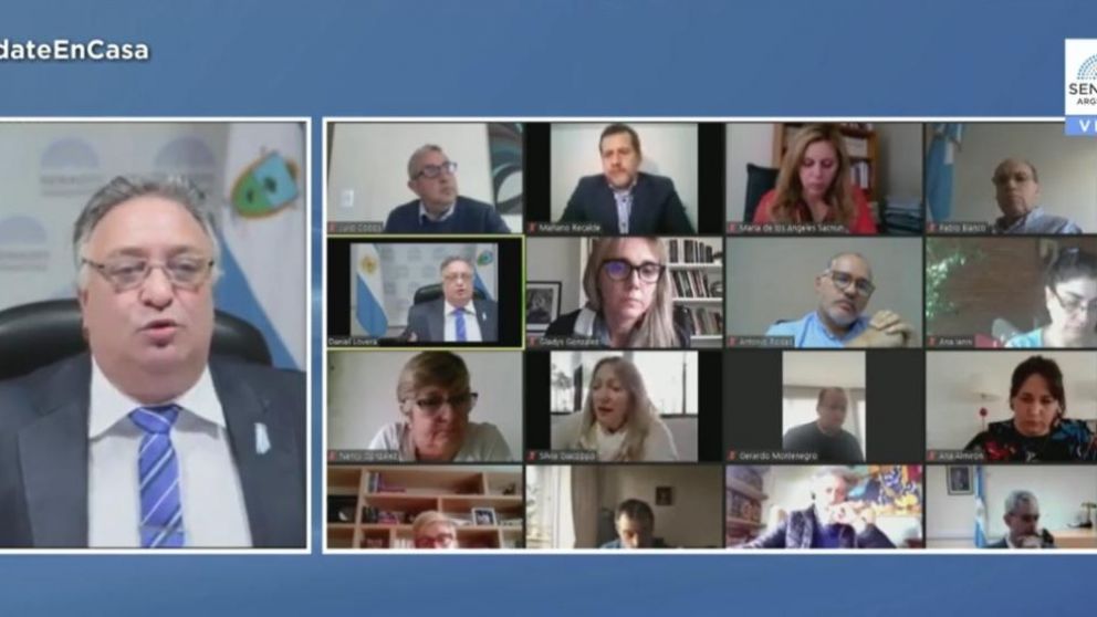 El Senado debate el proyecto de teletrabajo con la UIA e IDEA