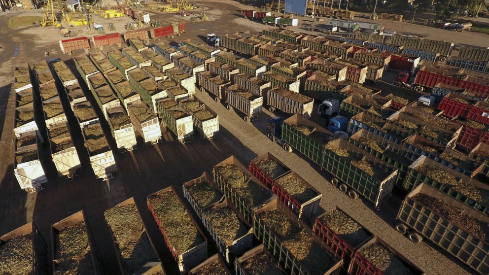 En 2019, la zafra azucarera finalizó con una cosecha cercana a las 23 millones de toneladas