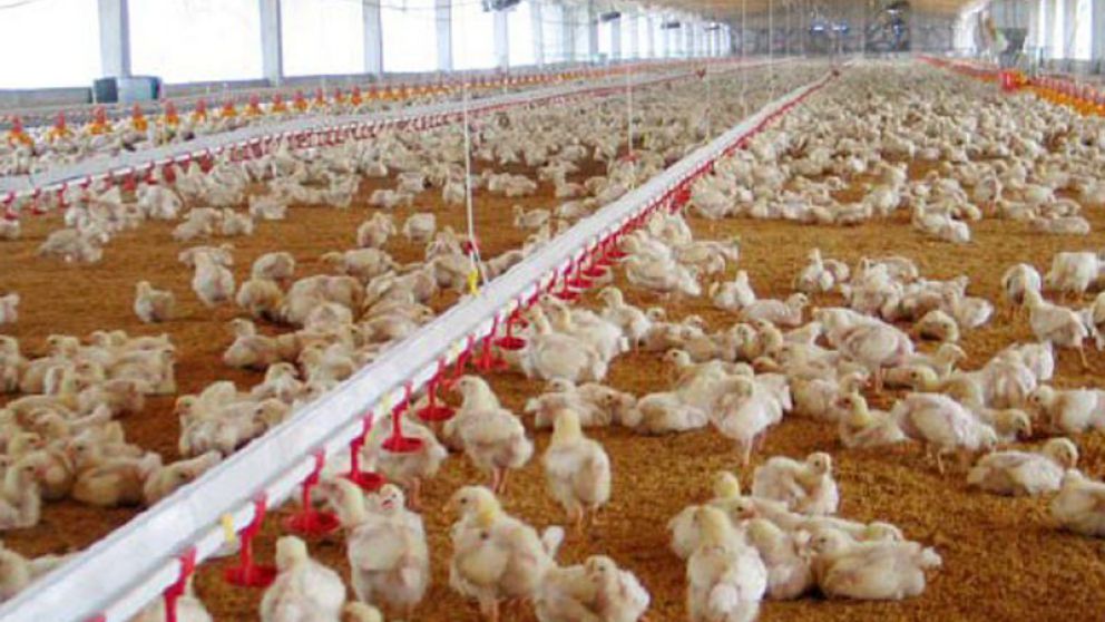 Los costos de producci�n aumentaron hasta un 20%