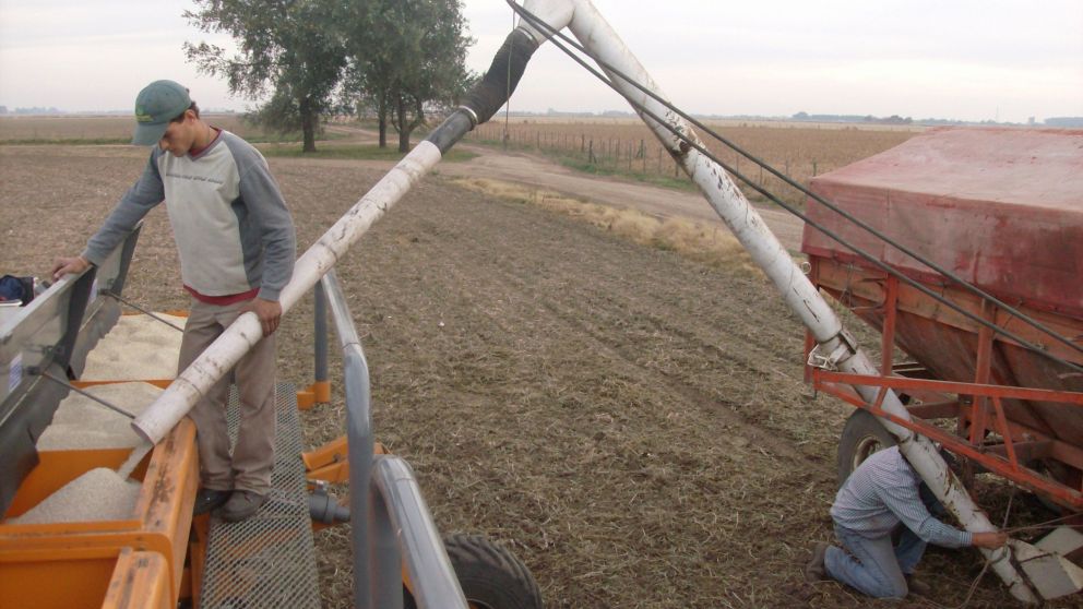 En 2019, el consumo de fertilizantes fue de 4,6 millones de toneladas