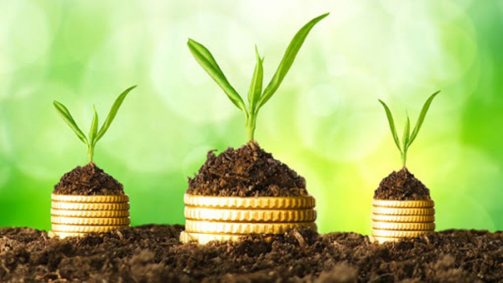 Menos del 1% de los paquetes fiscales tiene contenido "verde"