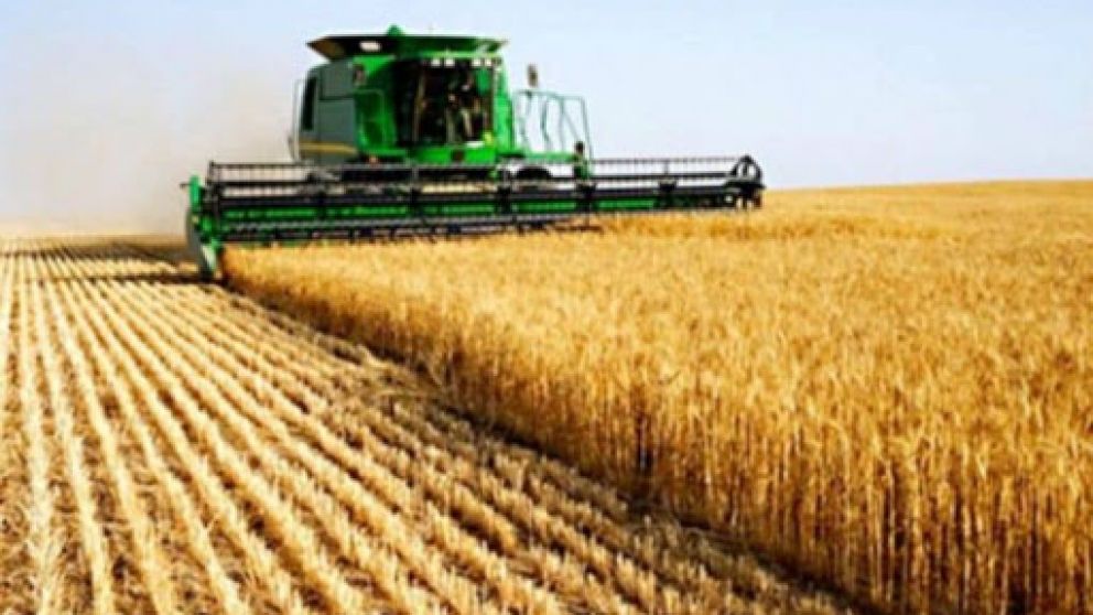Anticipan buena campaña para trigo y con más uso de tecnología