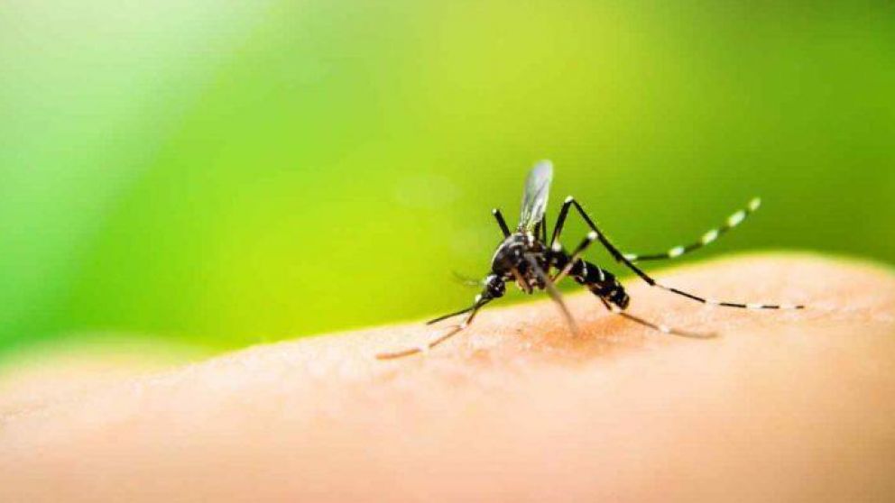 El coronavirus enmascara otras enfermedades que golpean la región