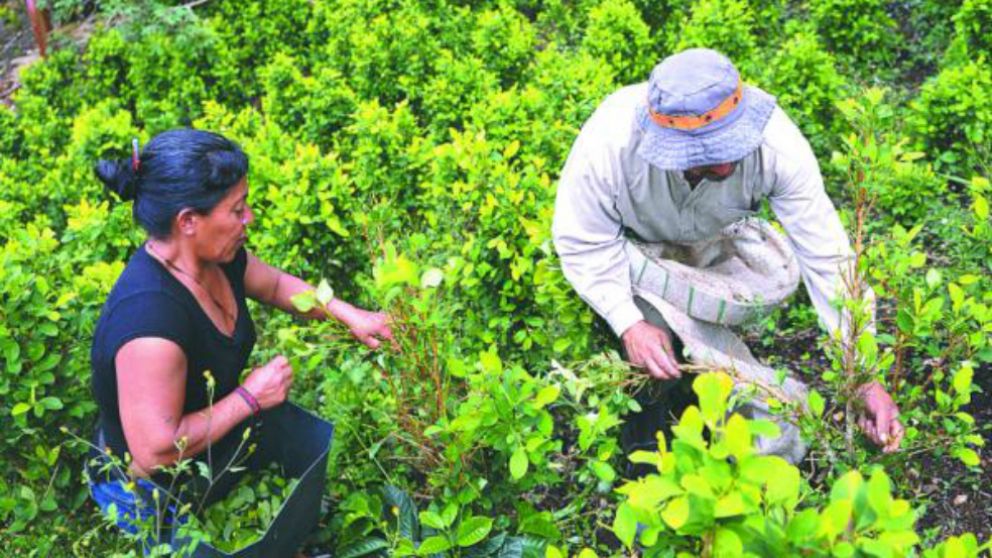 Por el coronavirus, más gente podría entrar al negocio de la droga