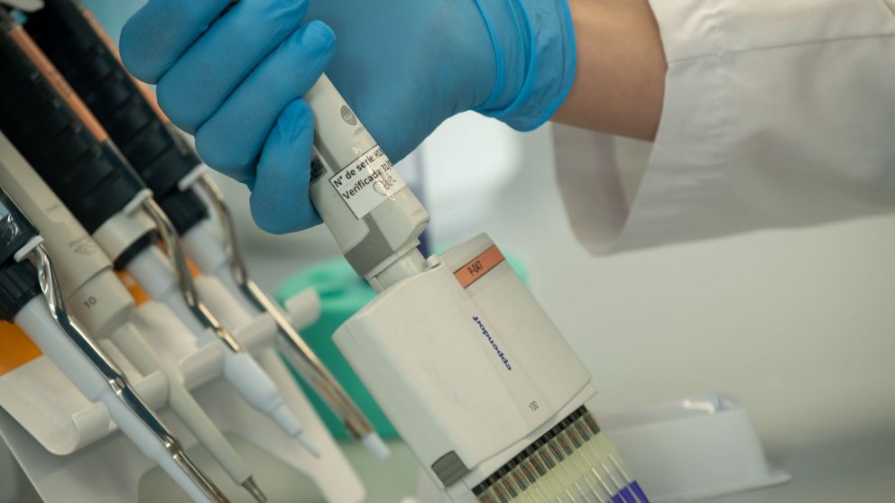 Científicos argentinos logran neutralizar el coronavirus en laboratorio con suero de caballos