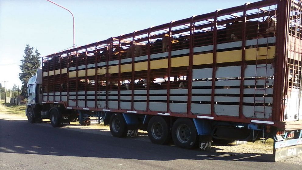 En Lezama, los productores están alertas ante la decisión del municipio