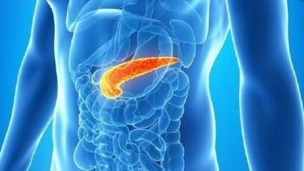Daraxonrasib, el f�rmaco experimental que apunta a la prote�na KRAS, podr�a convertirse en el mayor avance contra el c�ncer de p�ncreas en 15 a�os