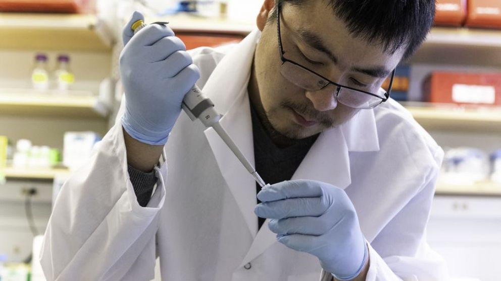 Los investigadores necesitan que haya circulación del coronavirus