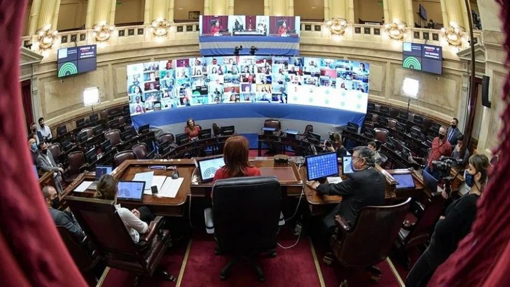 En un clima de tensión, el Senado sancionó la Ley de Alquileres y de Educación a distancia