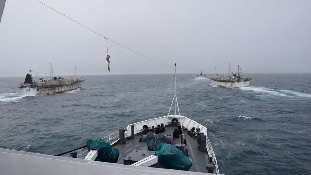 Por la pesca ilegal, se pierden USD15.000 millones anuales