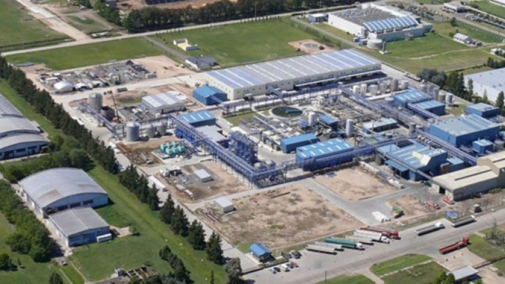 Industria post pandemia: la clave es cooperar y no competir