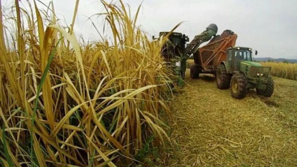 Los trabajadores temporarios se encuentran en situación extrema