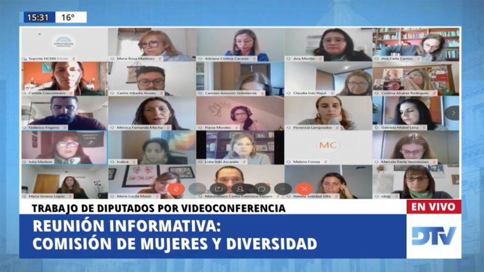 Diputadas y referentes feministas analizaron el acceso a los derechos sexuales y reproductivos en plena pandemia