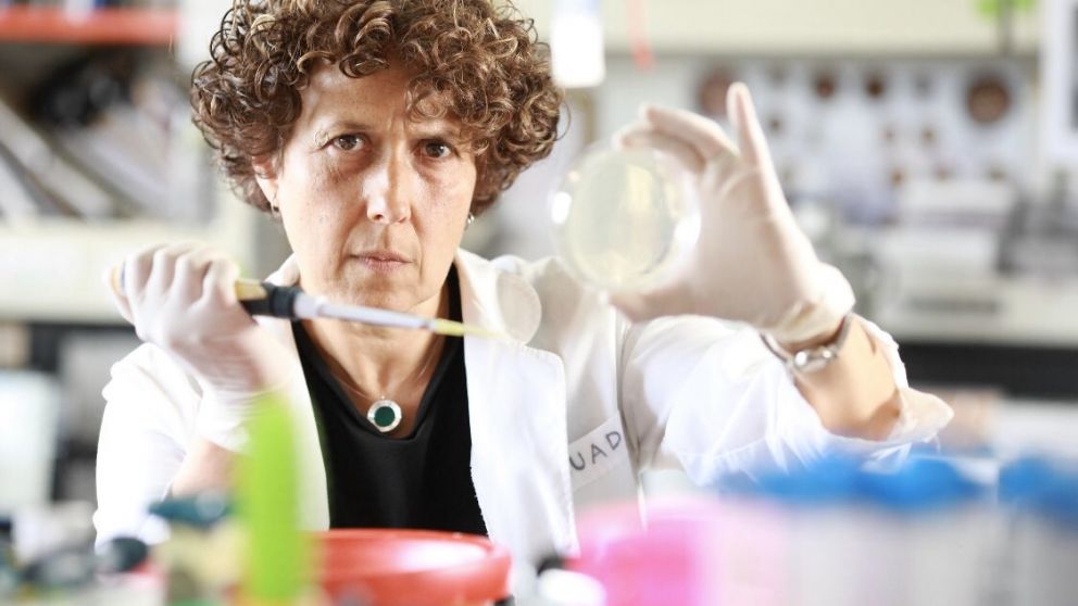 Una de las firmantes es Andrea Gamarnik, líder del equipo de científicos que creó el primer test serológico argentino para Covid-19