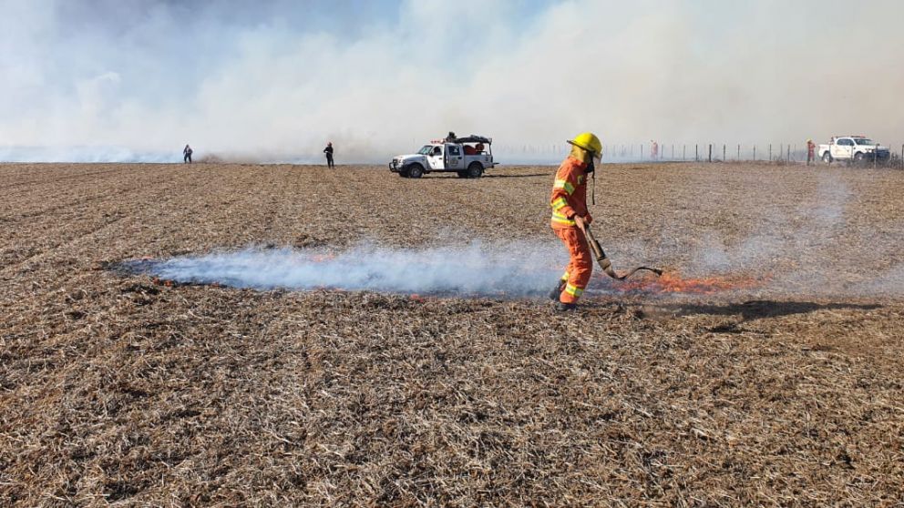 El campo incendiado se encuentra en la localidad cordobesa de Oliva