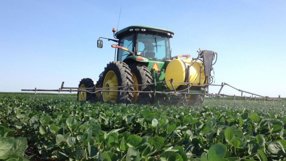 Se redujo la brecha de precios de productos agropecuarios