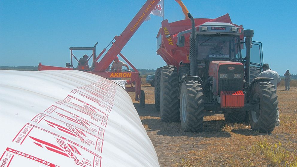 Las ventas de granos vienen a ritmo lento