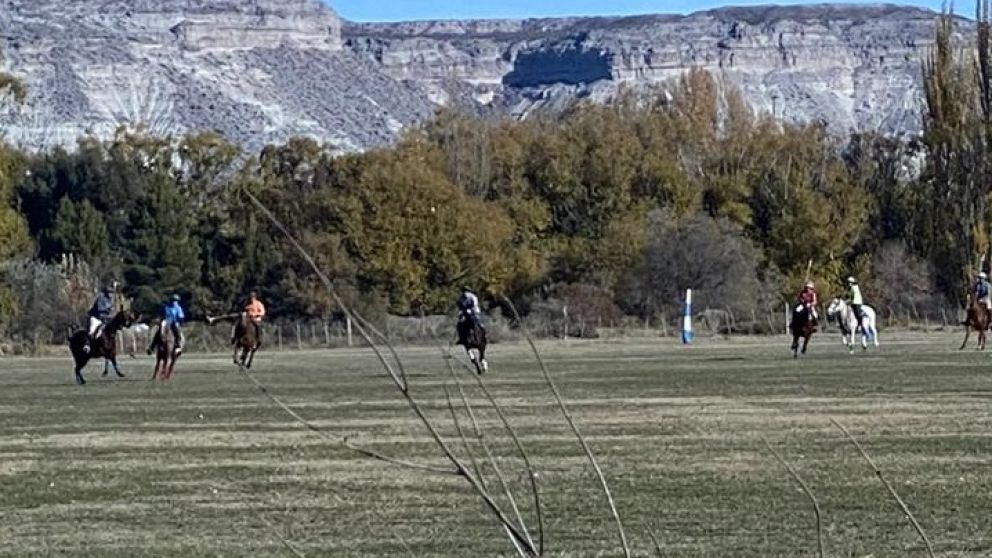 Un vecino que pasaba por el lugar se sorprendió y tomó una foto que permitió abrir una investigación judicial