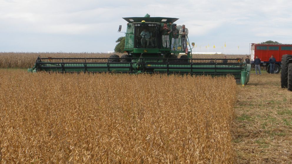La Argentina podría cosechar 51 millones de toneladas de soja este año
