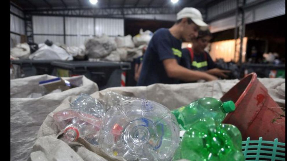 Hay aproximadamente quince mil cartoneros y cartoneras nucleados en cooperativas a lo largo del país