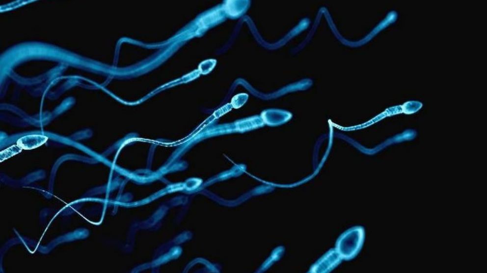 Descubren coronavirus en semen
