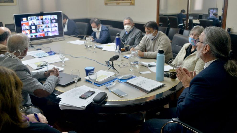 Basterra, en videoconferencia