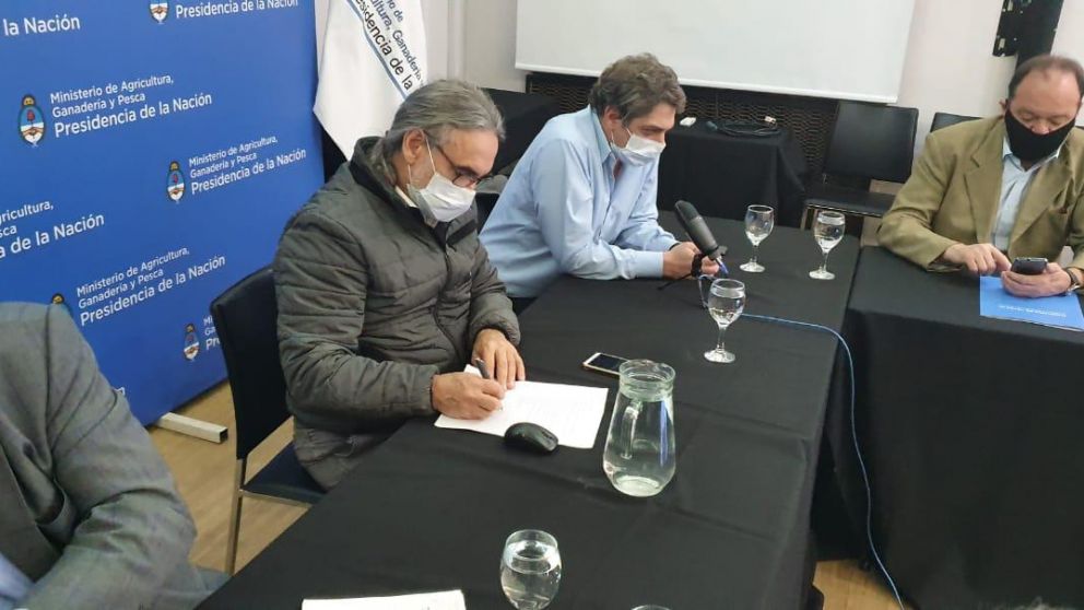 Buscan definir protocolo para coronavirus en industria de la carne